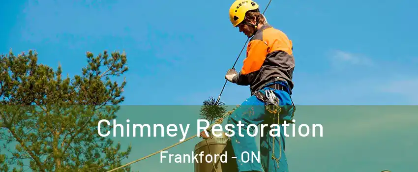  Chimney Restoration Frankford - ON
