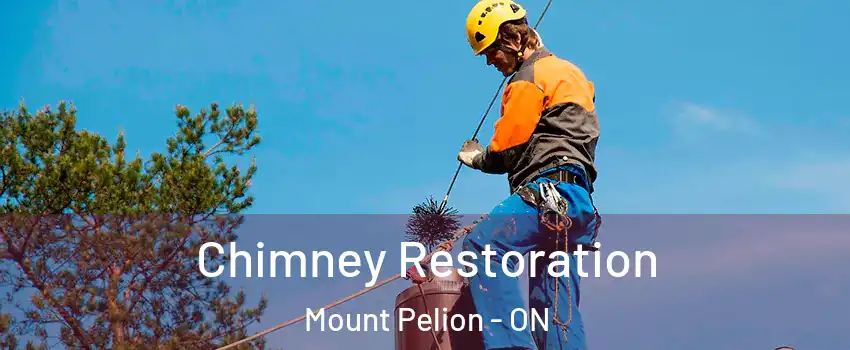  Chimney Restoration Mount Pelion - ON