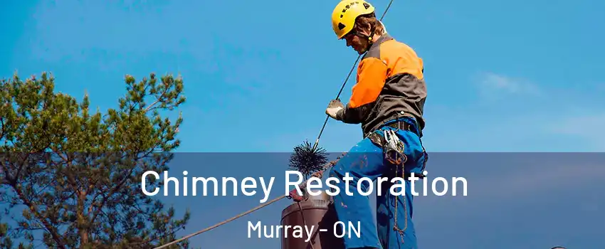  Chimney Restoration Murray - ON