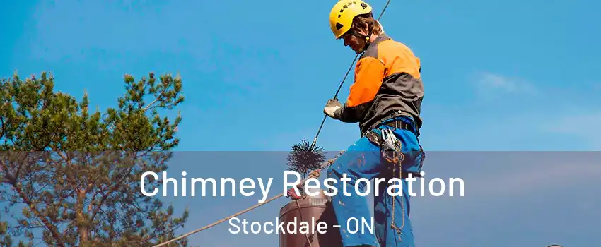  Chimney Restoration Stockdale - ON
