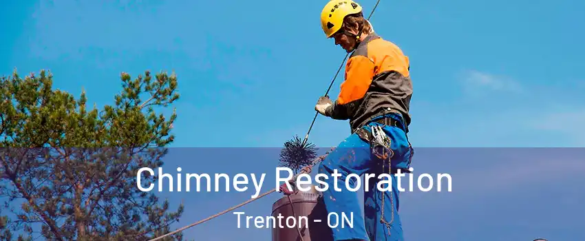  Chimney Restoration Trenton - ON