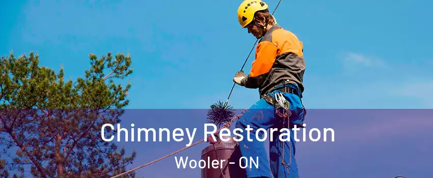  Chimney Restoration Wooler - ON