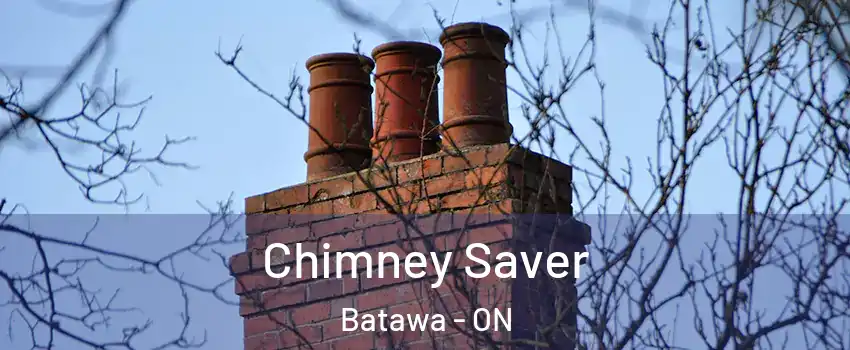  Chimney Saver Batawa - ON