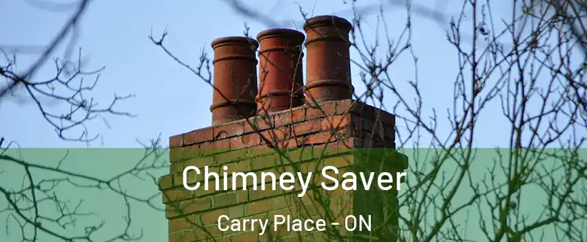  Chimney Saver Carry Place - ON