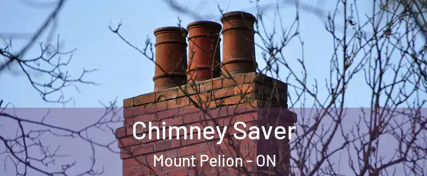  Chimney Saver Mount Pelion - ON