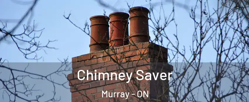  Chimney Saver Murray - ON