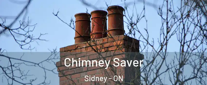  Chimney Saver Sidney - ON