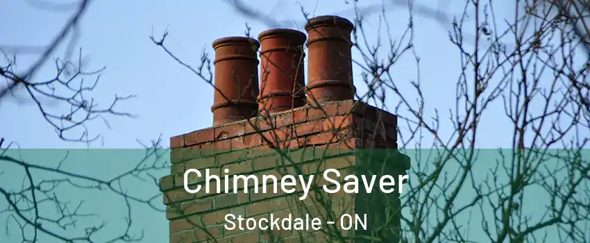  Chimney Saver Stockdale - ON
