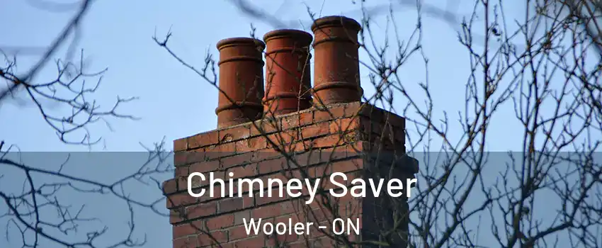  Chimney Saver Wooler - ON