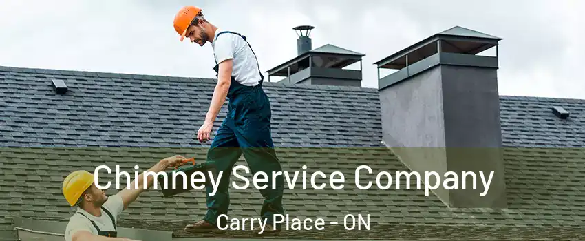 Chimney Service Company Carry Place - ON