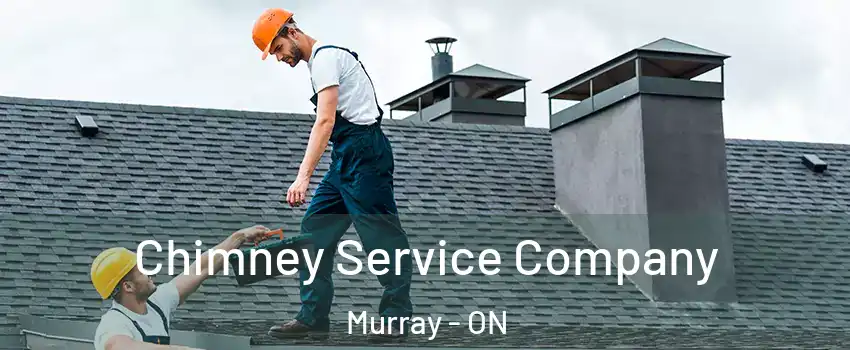  Chimney Service Company Murray - ON