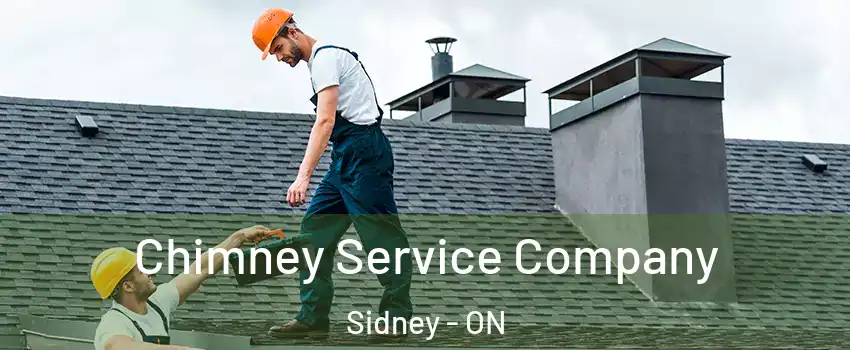  Chimney Service Company Sidney - ON