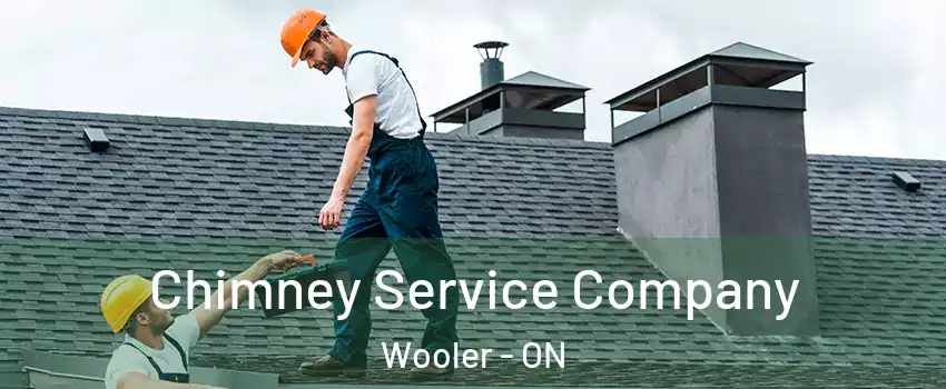  Chimney Service Company Wooler - ON