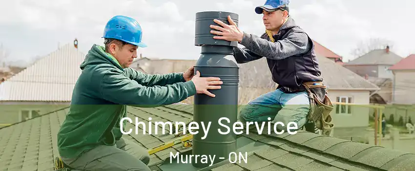  Chimney Service Murray - ON