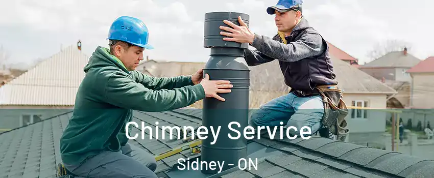  Chimney Service Sidney - ON