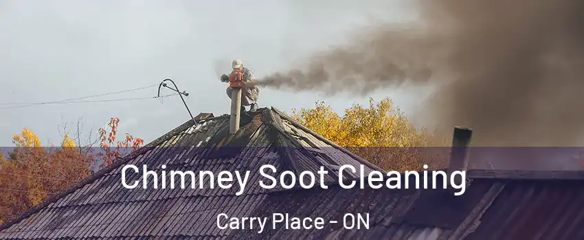  Chimney Soot Cleaning Carry Place - ON