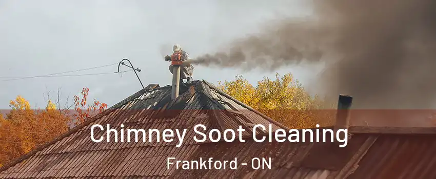  Chimney Soot Cleaning Frankford - ON