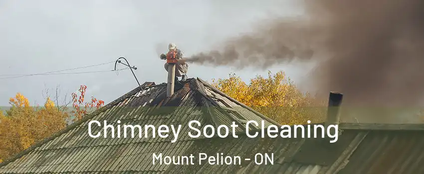  Chimney Soot Cleaning Mount Pelion - ON