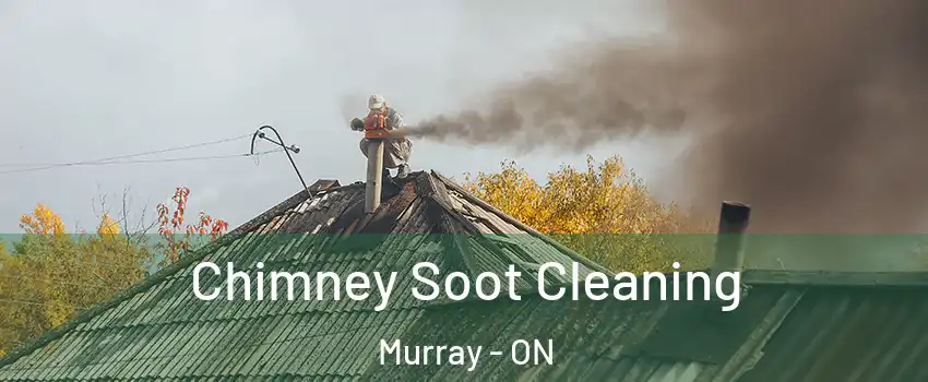  Chimney Soot Cleaning Murray - ON