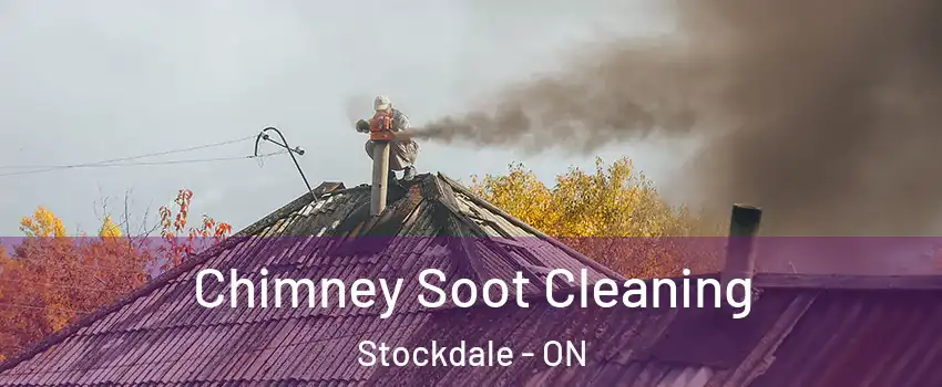  Chimney Soot Cleaning Stockdale - ON