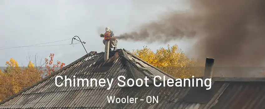  Chimney Soot Cleaning Wooler - ON