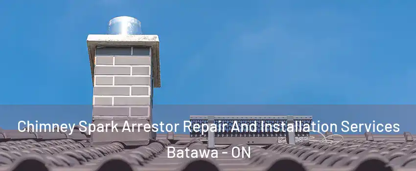  Chimney Spark Arrestor Repair And Installation Services Batawa - ON