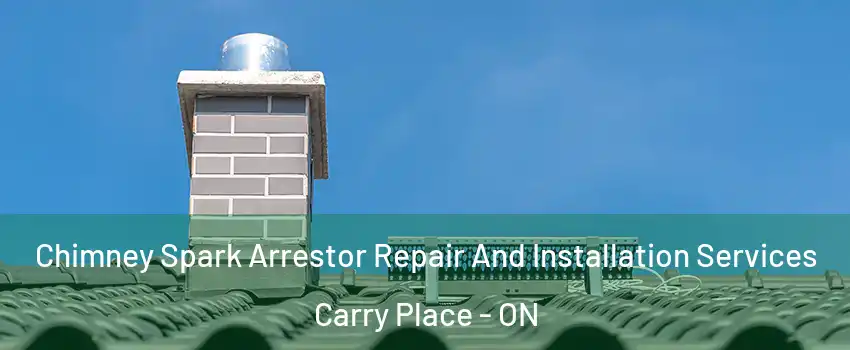  Chimney Spark Arrestor Repair And Installation Services Carry Place - ON