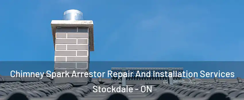  Chimney Spark Arrestor Repair And Installation Services Stockdale - ON