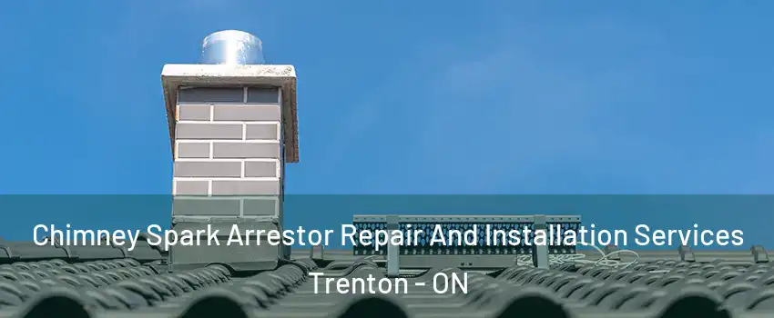  Chimney Spark Arrestor Repair And Installation Services Trenton - ON