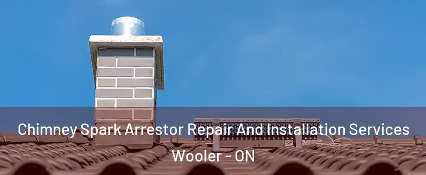  Chimney Spark Arrestor Repair And Installation Services Wooler - ON