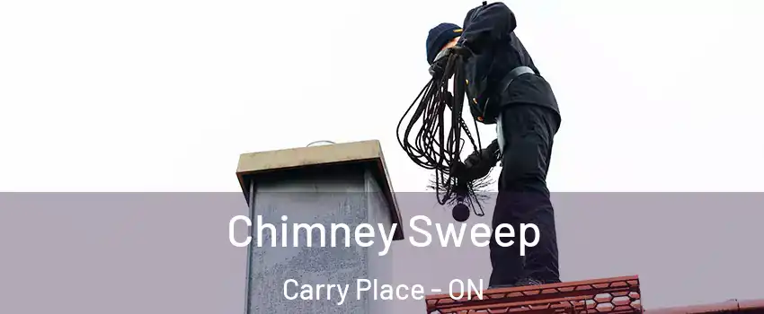  Chimney Sweep Carry Place - ON
