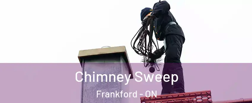  Chimney Sweep Frankford - ON