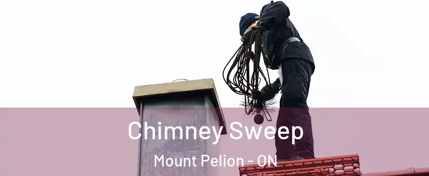  Chimney Sweep Mount Pelion - ON