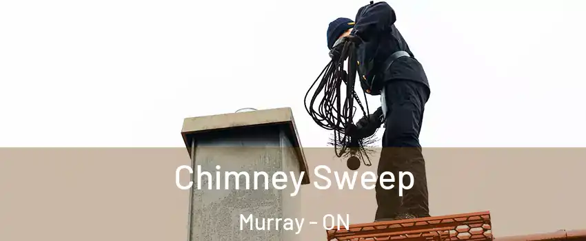  Chimney Sweep Murray - ON