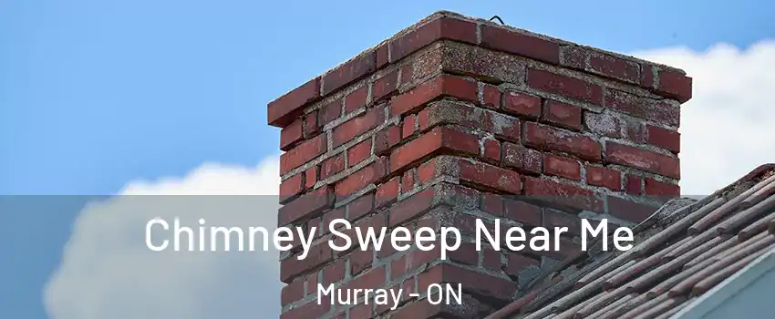  Chimney Sweep Near Me Murray - ON