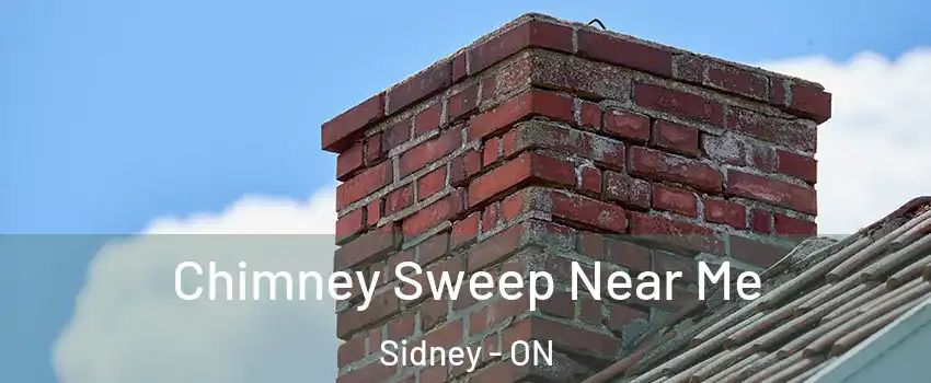  Chimney Sweep Near Me Sidney - ON