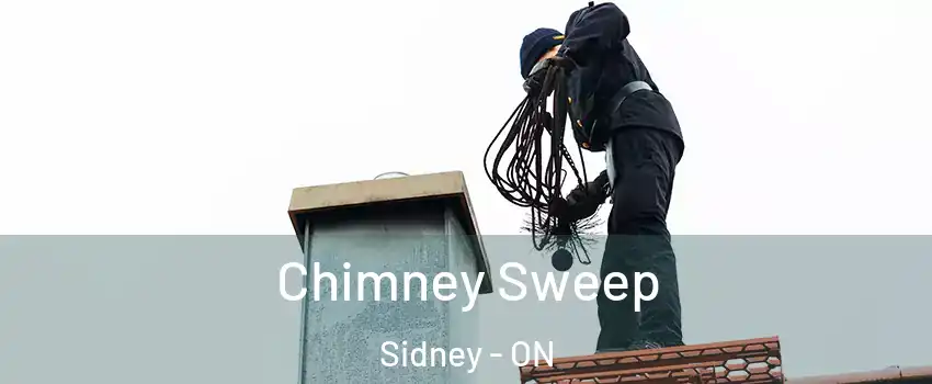  Chimney Sweep Sidney - ON