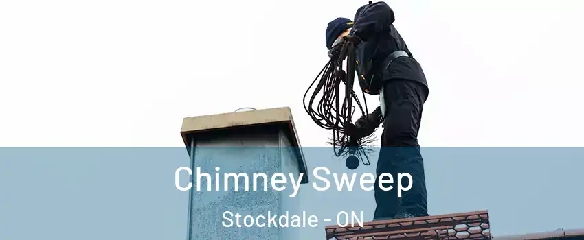  Chimney Sweep Stockdale - ON