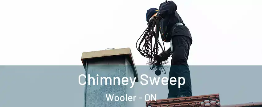  Chimney Sweep Wooler - ON