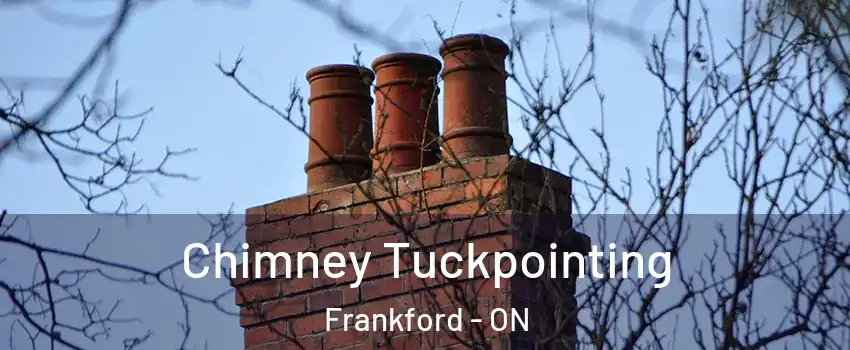  Chimney Tuckpointing Frankford - ON