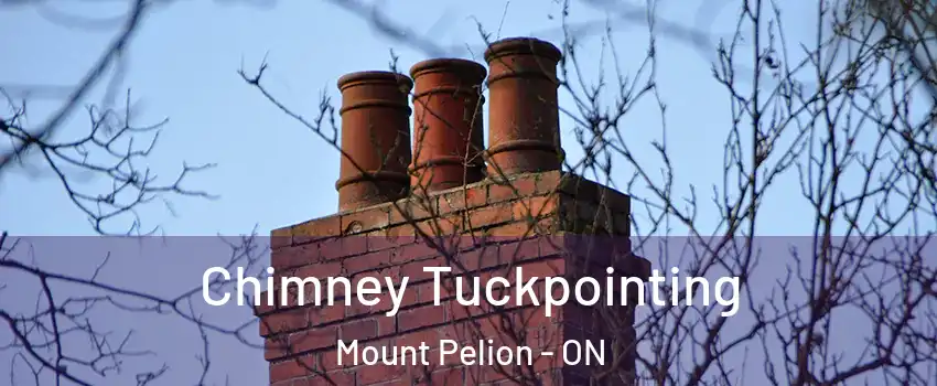  Chimney Tuckpointing Mount Pelion - ON