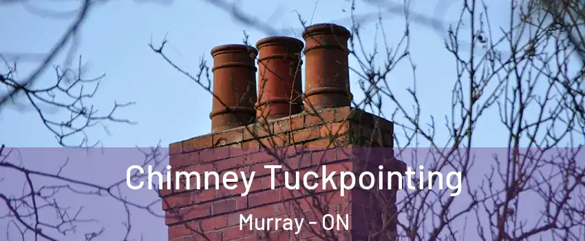  Chimney Tuckpointing Murray - ON