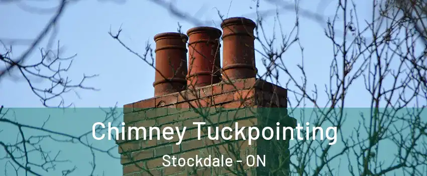  Chimney Tuckpointing Stockdale - ON