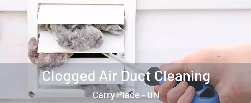  Clogged Air Duct Cleaning Carry Place - ON