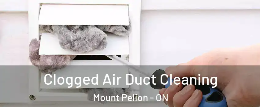  Clogged Air Duct Cleaning Mount Pelion - ON