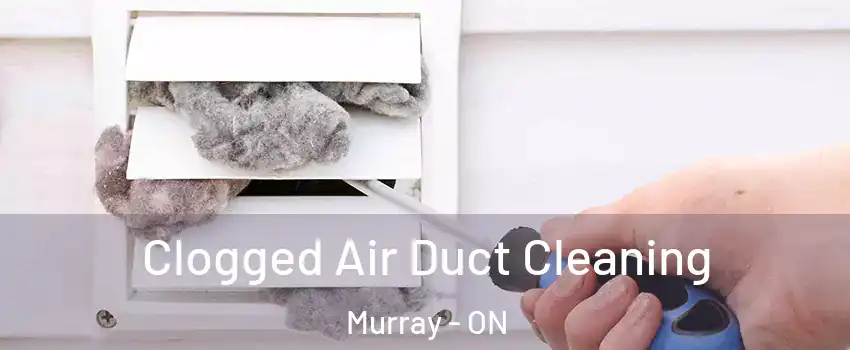  Clogged Air Duct Cleaning Murray - ON