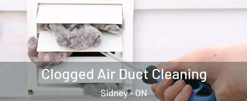  Clogged Air Duct Cleaning Sidney - ON