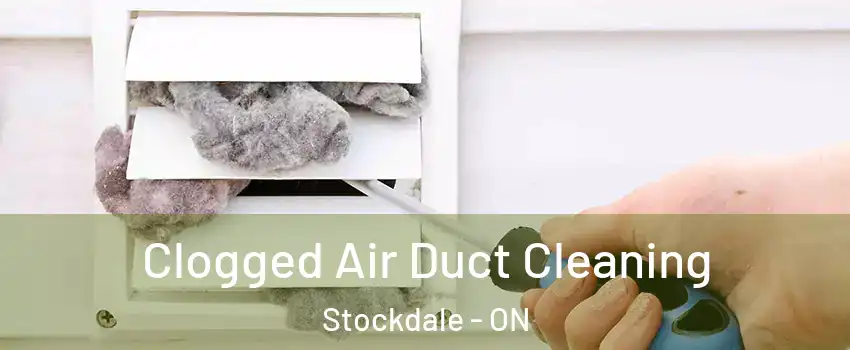  Clogged Air Duct Cleaning Stockdale - ON