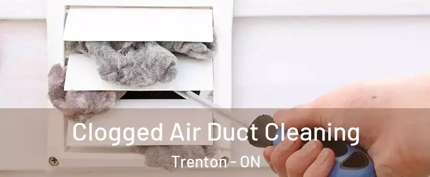  Clogged Air Duct Cleaning Trenton - ON