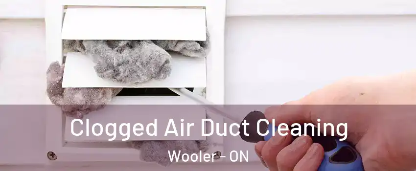  Clogged Air Duct Cleaning Wooler - ON